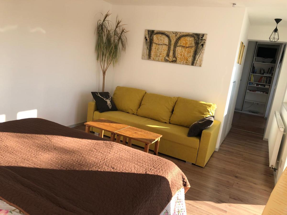 Apartman - D - Vyhlidka Nad Rekou Zdiby Eksteriør billede